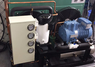 Unidad de condensación hermética profesional de la refrigeración por aire para el refrigerador de la medicina del hospital