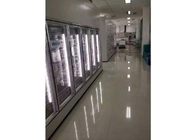 Paseo del supermercado en cuartos más desapasibles, frío y mantenimiento fácil de los cuartos del congelador
