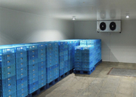 Cámaras frías modulares de la fruta/del refrigerador vegetal con 50 ~ el panel de bocadillo de la PU de 200m m