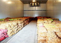 Sitio de almacenamiento en frío de la verdura o de la fruta con el panel de la PU del aislamiento de 43kg / m³