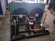 Unidad de condensación fácil 380V/50Hz de la conservación en cámara frigorífica de la instalación para la cámara fría del hotel