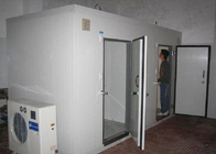puerta rasante de acero del estilo abierto del oscilación de las puertas de la conservación en cámara frigorífica de 850 * de 1800m m para el hotel